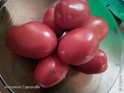 Tomate tomelizate, țara maeștrilor