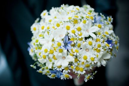 Топ-5 польових квітів у весільному букеті