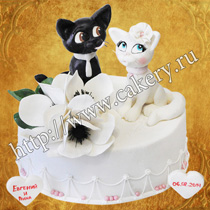 Cake macska, cica, macska nő rendelni egy tortát a forma, a forma, a macska könyv, esküvői torta
