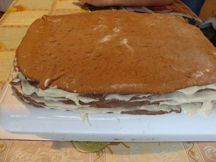 Cake - nutella - rețetă pas cu pas cu fotografie pe