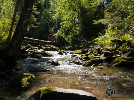 Al treilea este râul Oirok de pe Altai, malul lacului Teletskoye