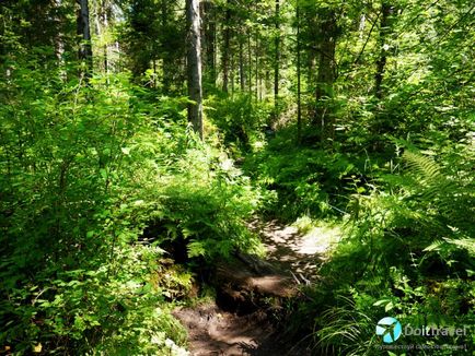 Al treilea este râul Oirok de pe Altai, malul lacului Teletskoye