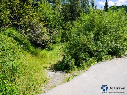 Al treilea este râul Oirok de pe Altai, malul lacului Teletskoye