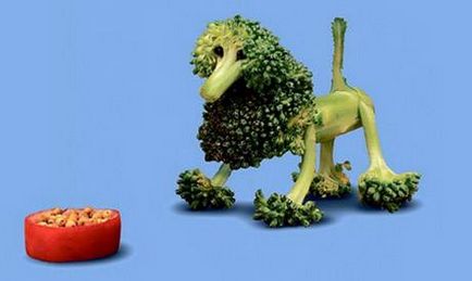 Uimitoare figuri din legume și fructe