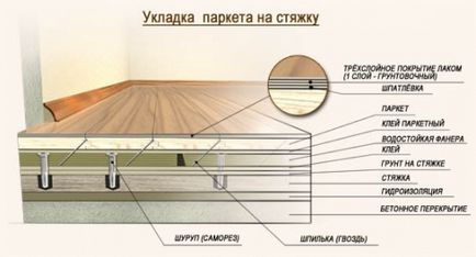 Укладання і циклювання паркету, будівельний портал