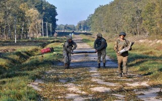 Укрпошта заспокоює всі посилки відправляються за графіком - новини компаній - в Укрпошті запевнили,