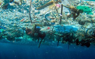 Укрпошта заспокоює всі посилки відправляються за графіком - новини компаній - в Укрпошті запевнили,