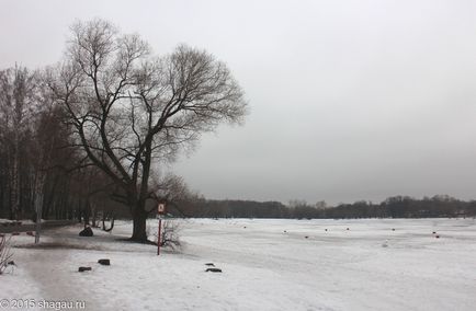 Gospodăria Kosino din Moscova este un complex templu, un lac alb și negru