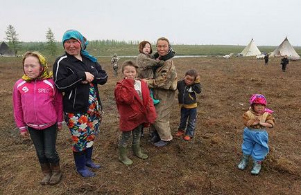 Reportați la tundră, pe măsură ce Nenets sărbătorește nunta - știri în fotografii