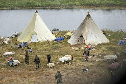 Отнети в тундрата като Ненецки празнуват сватбата - новини в снимки