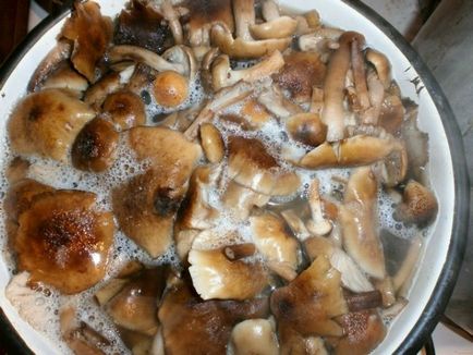 Valois, hogyan kell főzni gombát, sót, összekapcsolják a tél, receptek, ólak, pácolt, főzés,