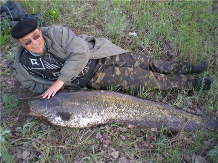 Варіанти лову сома на живця