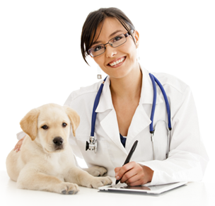 Clinica veterinară zoomedic - clinica de chirurgie veterinară la Moscova