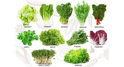Salata de creștere într-o varietate de soiuri nepretențioase și caracteristici de plantare și de îngrijire