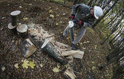 Autoritățile din Ural iau lemn de la firmă
