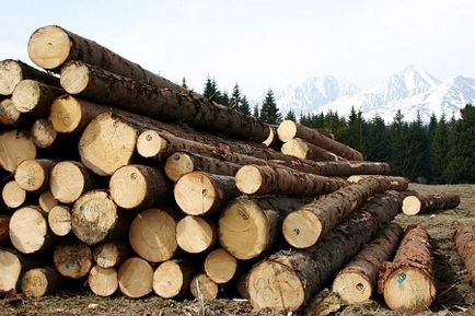 Umiditatea speciilor lemnoase la fel de naturale, normele