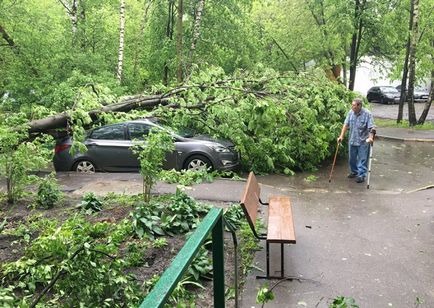 В мнс пояснили, чому не повідомили про шторм