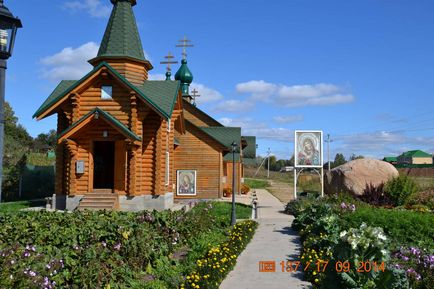 Лікар-психотерапевт, цілитель