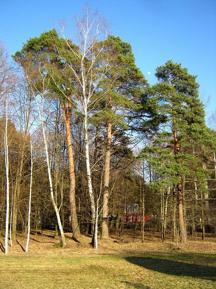 Введенское опис, історія, екскурсії, точна адреса