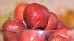 Яблучний спас в 2017 році якого числа, як святкувати, що не можна робити, історія - новини