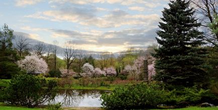 Grădina japoneză în fotografia grădinii botanice, orele de lucru, cum se obține