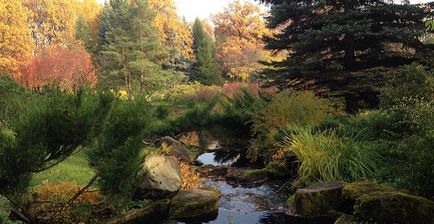 Grădina japoneză în fotografia grădinii botanice, orele de lucru, cum se obține