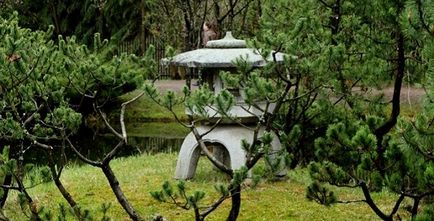 Grădina japoneză în fotografia grădinii botanice, orele de lucru, cum se obține