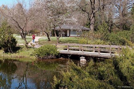 Japán kert a Botanikus Kert Moszkva, hogyan lehet üzemidőben, jegyárak