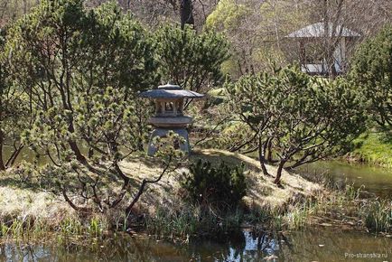 Japán kert a Botanikus Kert Moszkva, hogyan lehet üzemidőben, jegyárak