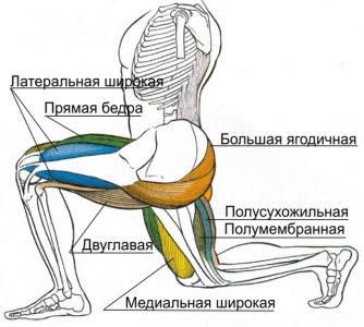 За який час можна накачати сідниці дівчини в домашніх умовах