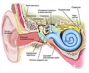 Закладеність носа і вух лікування