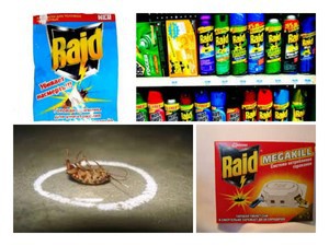 Protecția împotriva gândacilor care ar trebui folosită