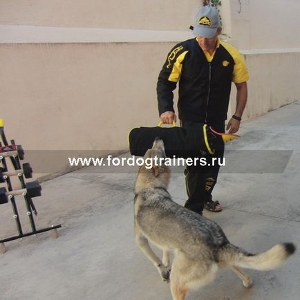 Захисний костюм «training force» для тренування собак