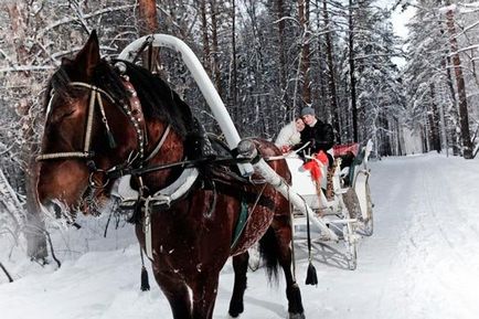 Зимовий весільний кортеж є креативне рішення!