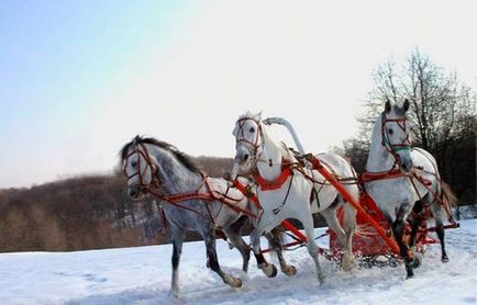 Téli lakodalmas menet van egy kreatív megoldás!