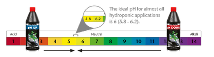 PH-érték hidroponikában