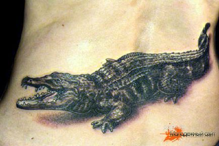 Значення татуювання крокодил і алігатор - фотографії тату