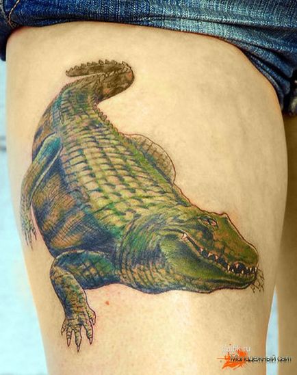 Semnificația unui tatuaj al unui crocodil și aligator - fotografii ale unui tatuaj