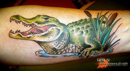 Semnificația unui tatuaj al unui crocodil și aligator - fotografii ale unui tatuaj