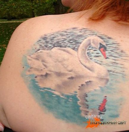 Înțeles a swan tattoo (10 fotografii)