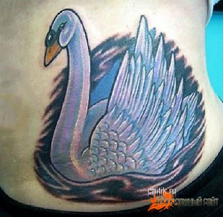 Înțeles a swan tattoo (10 fotografii)