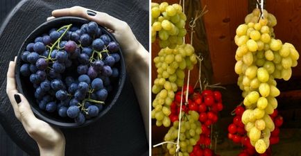 16 Продуктів, які можуть зберігатися довше, ніж ми думали