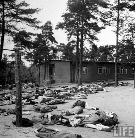 20 fotografii șocante din lagărul de concentrare din Bergen-Belzen imediat după eliberarea sa