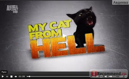 Hellcat a macskám a pokolból - «nem tetszik macskát karcolások azt, sziszeg, címkék és szar nem rohan