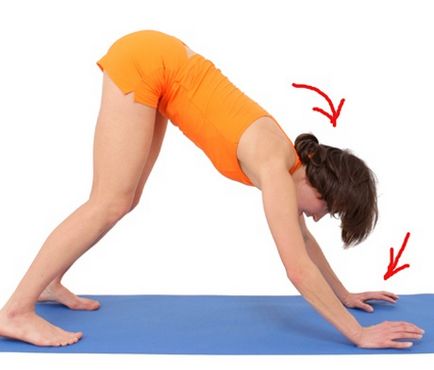 Asana adho mukha svanasana