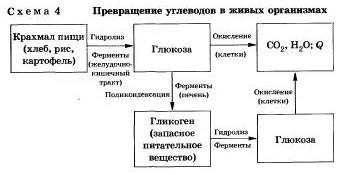 Biologie și chimie