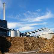 Biofuel de la analistul forestier - industria forestieră