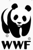 Big panda - emblema națională a Chinei, accentul chinezesc