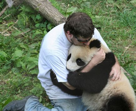 Panda mare, o revistă online pozitivă