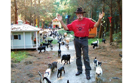 Caboodle ranch - un adevărat paradis pentru pisici